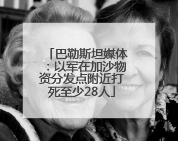 巴勒斯坦媒体：以军在加沙物资分发点附近打死至少28人