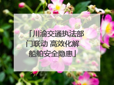 川渝交通执法部门联动 高效化解船舶安全隐患