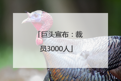 巨头宣布：裁员3000人