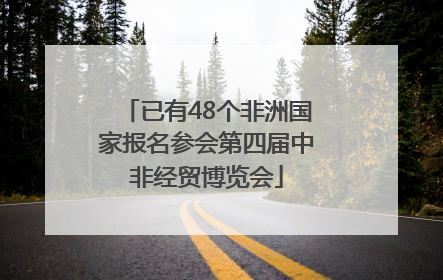 已有48个非洲国家报名参会第四届中非经贸博览会