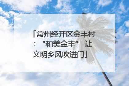 常州经开区金丰村：“和美金丰” 让文明乡风吹进门