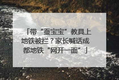 带“蚕宝宝”教具上地铁被拦？家长喊话成都地铁“网开一面”