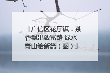 广信区花厅镇：茶香飘出致富路 绿水青山绘新篇（图）