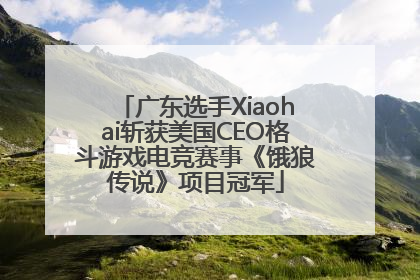 广东选手Xiaohai斩获美国CEO格斗游戏电竞赛事《饿狼传说》项目冠军