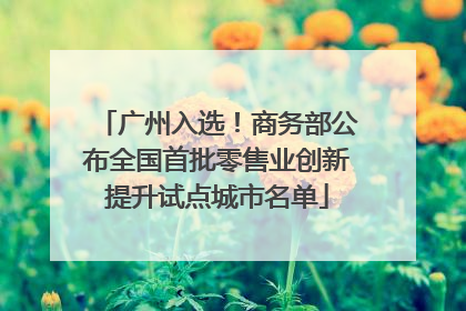 广州入选！商务部公布全国首批零售业创新提升试点城市名单