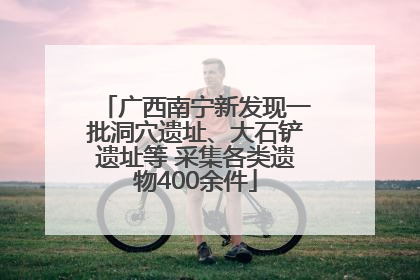 广西南宁新发现一批洞穴遗址、大石铲遗址等 采集各类遗物400余件