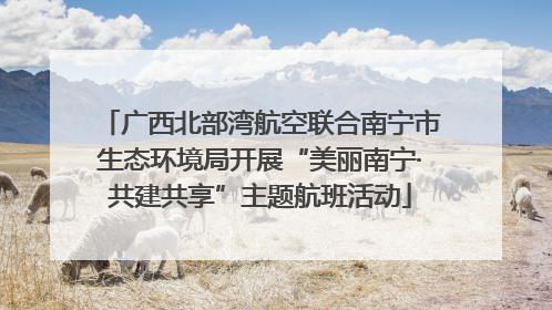 广西北部湾航空联合南宁市生态环境局开展“美丽南宁·共建共享”主题航班活动