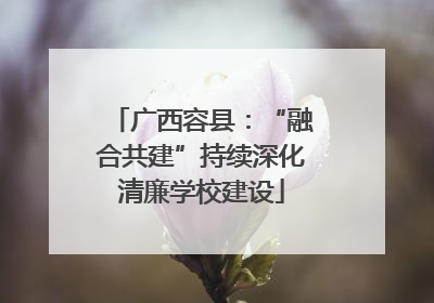 广西容县：“融合共建”持续深化清廉学校建设