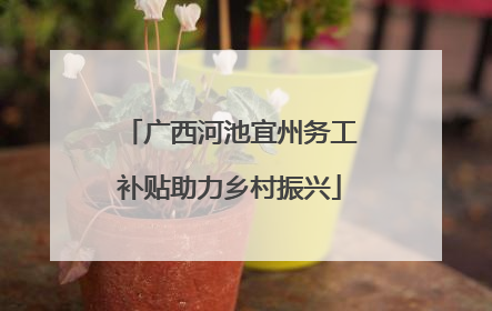 广西河池宜州务工补贴助力乡村振兴