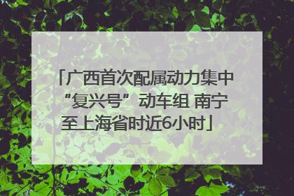 广西首次配属动力集中“复兴号”动车组 南宁至上海省时近6小时