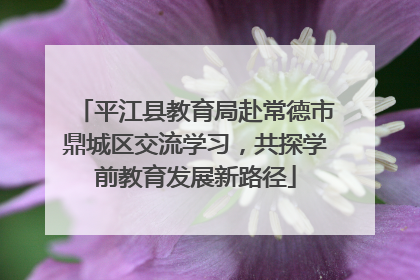 平江县教育局赴常德市鼎城区交流学习，共探学前教育发展新路径