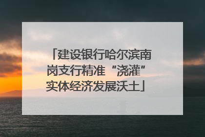 建设银行哈尔滨南岗支行精准“浇灌”实体经济发展沃土