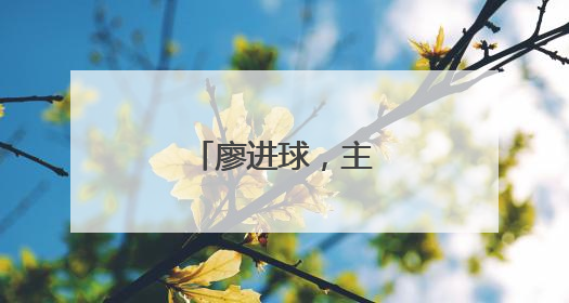 廖进球，主动交代问题