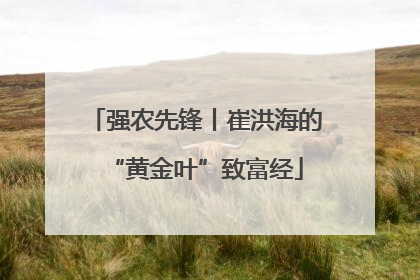 强农先锋丨崔洪海的“黄金叶”致富经
