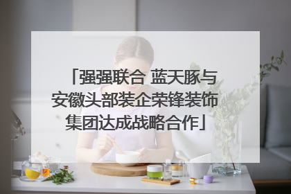 强强联合 蓝天豚与安徽头部装企荣锋装饰集团达成战略合作