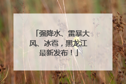 强降水、雷暴大风、冰雹，黑龙江最新发布！