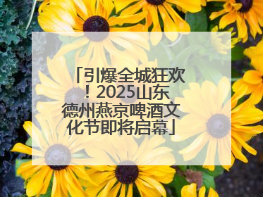 引爆全城狂欢！2025山东德州燕京啤酒文化节即将启幕