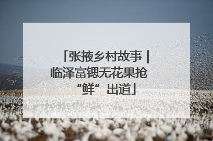 张掖乡村故事｜临泽富锶无花果抢“鲜”出道