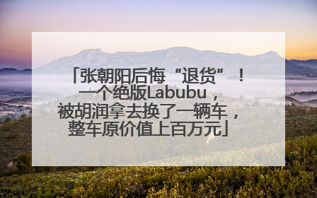 张朝阳后悔“退货”！一个绝版Labubu，被胡润拿去换了一辆车，整车原价值上百万元