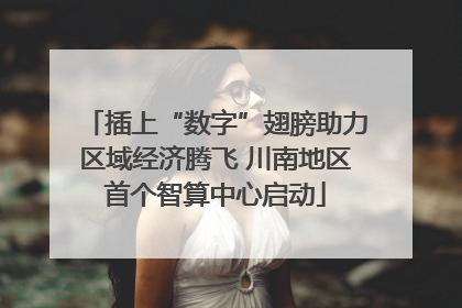 插上“数字”翅膀助力区域经济腾飞 川南地区首个智算中心启动