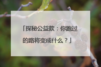 探秘公益款：你跑过的路将变成什么？