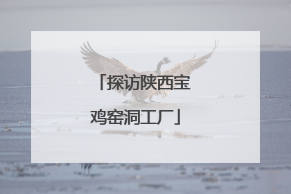 探访陕西宝鸡窑洞工厂