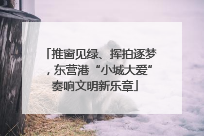 推窗见绿、挥拍逐梦，东营港“小城大爱”奏响文明新乐章