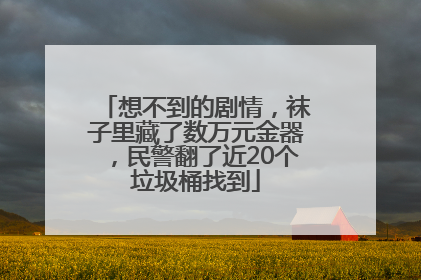 想不到的剧情，袜子里藏了数万元金器，民警翻了近20个垃圾桶找到