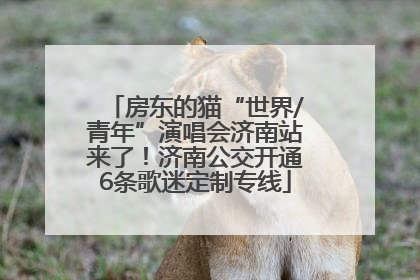 房东的猫“世界/青年”演唱会济南站来了！济南公交开通6条歌迷定制专线