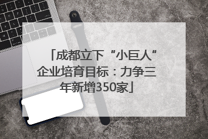 成都立下“小巨人”企业培育目标：力争三年新增350家