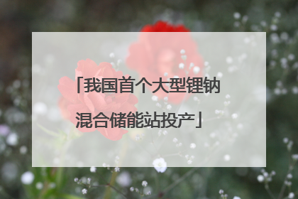 我国首个大型锂钠混合储能站投产