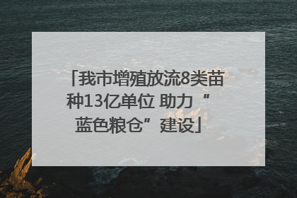 我市增殖放流8类苗种13亿单位 助力“蓝色粮仓”建设