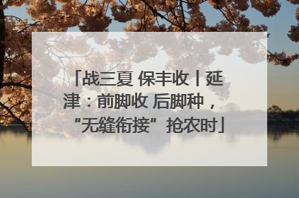 战三夏 保丰收丨延津：前脚收 后脚种，“无缝衔接”抢农时