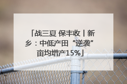 战三夏 保丰收丨新乡：中低产田“逆袭” 亩均增产15%