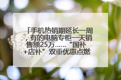 手机热销期延长一周，有的电脑专柜一天销售额25万……“国补+店补”双重优惠点燃德州“考后经济”