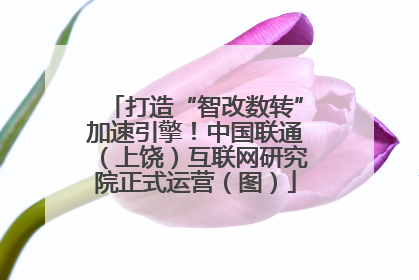 打造“智改数转”加速引擎！中国联通（上饶）互联网研究院正式运营（图）
