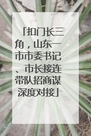 扣门长三角，山东一市市委书记、市长接连带队招商谋深度对接