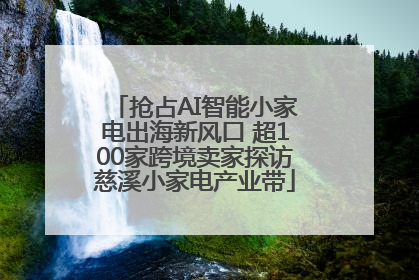 抢占AI智能小家电出海新风口 超100家跨境卖家探访慈溪小家电产业带