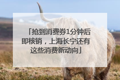 抢到消费券1分钟后即核销，上海长宁还有这些消费新动向