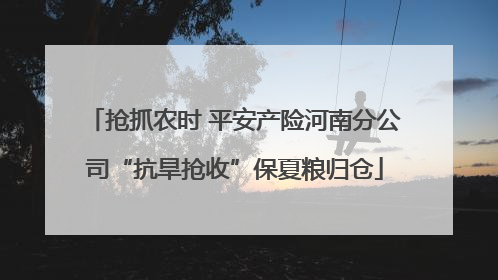 抢抓农时 平安产险河南分公司“抗旱抢收”保夏粮归仓