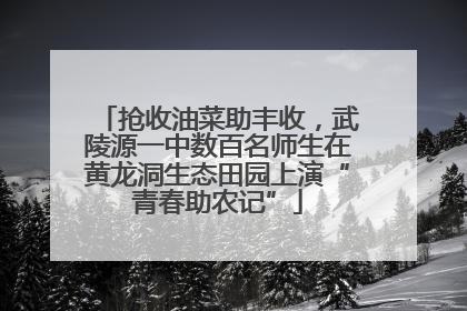抢收油菜助丰收，武陵源一中数百名师生在黄龙洞生态田园上演“青春助农记”