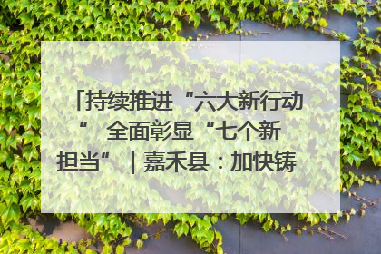 持续推进“六大新行动 ” 全面彰显“七个新担当”｜嘉禾县：加快铸造行业提档升级 助力绿色高质量发展