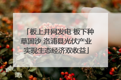 板上并网发电 板下种草固沙 洛浦县光伏产业实现生态经济双收益