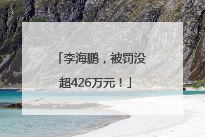李海鹏，被罚没超426万元！