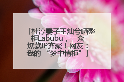 杜淳妻子王灿兮晒整柜Labubu，一众爆款IP齐聚！网友：我的 “梦中情柜”