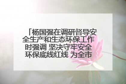 杨国强在调研督导安全生产和生态环保工作时强调 坚决守牢安全环保底线红线 为全市经济社会高质量发展提供坚强保障