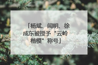 杨斌、闻明、徐成东被授予“云岭楷模”称号