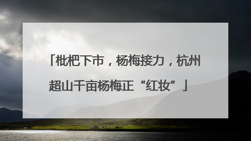 枇杷下市，杨梅接力，杭州超山千亩杨梅正“红妆”