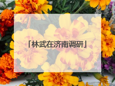 林武在济南调研