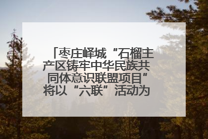 枣庄峄城“石榴主产区铸牢中华民族共同体意识联盟项目”将以“六联”活动为抓手深化品牌建设